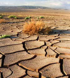 REGIAO NORDESTINA SECA POR NATUREZA