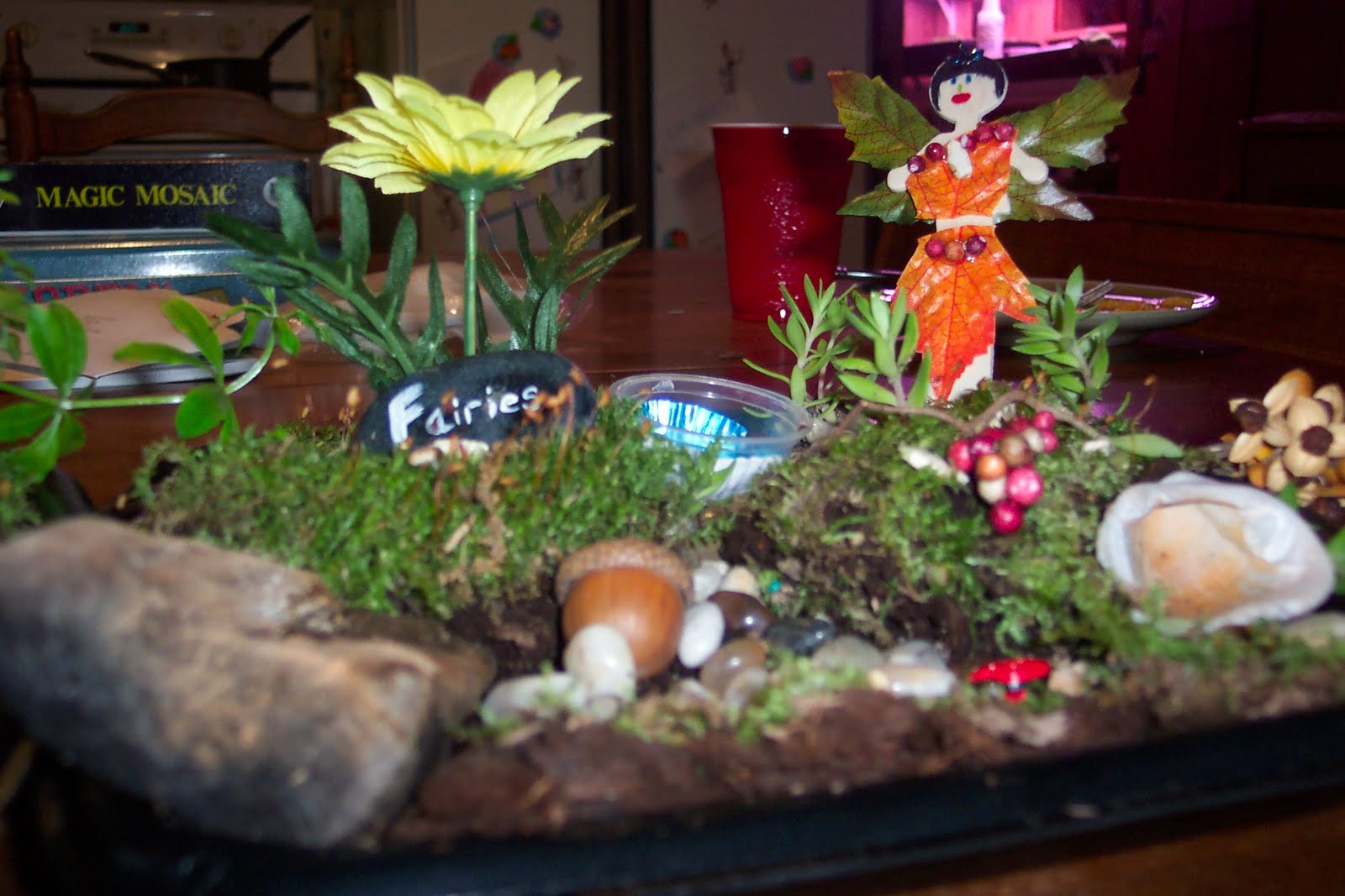 Living Deeply Rooted: Fairy Gardens