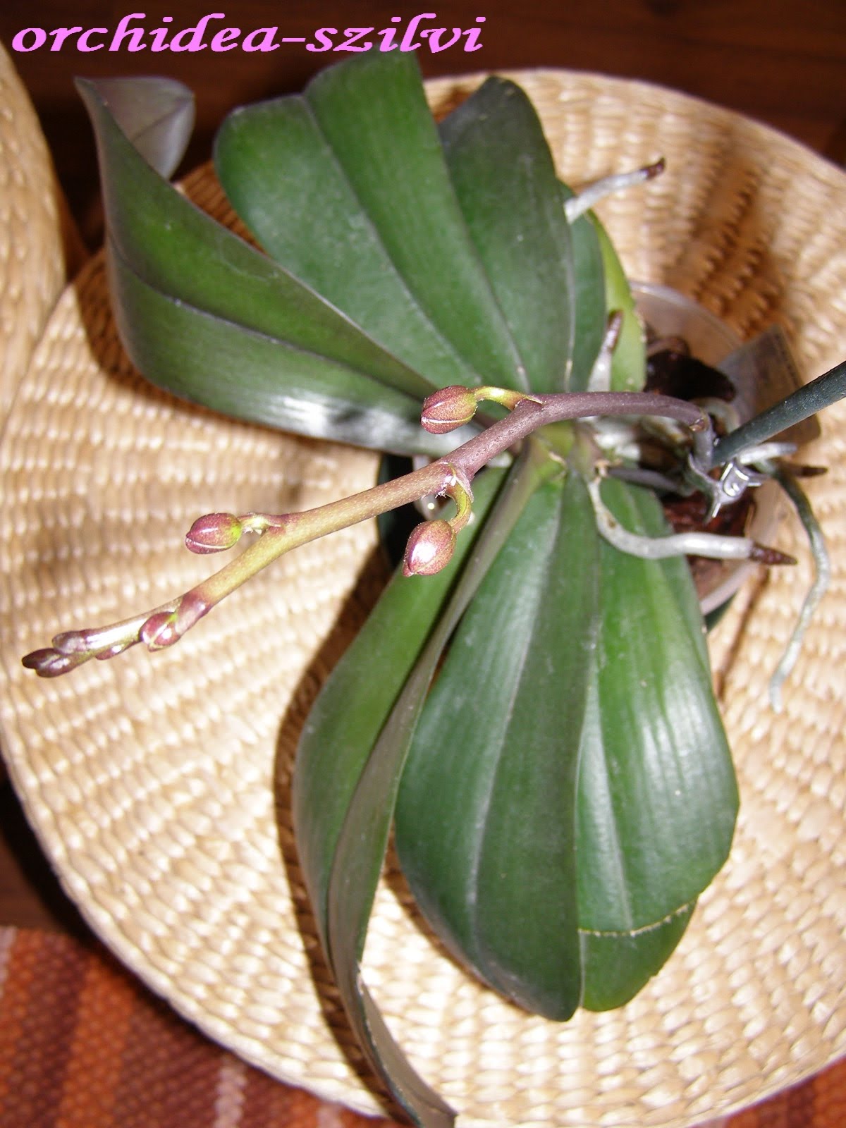 [P3140176.JPG]