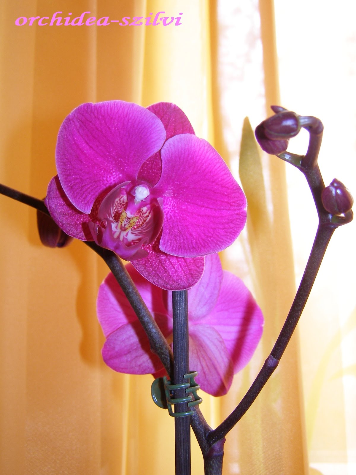 [P3090143.JPG]
