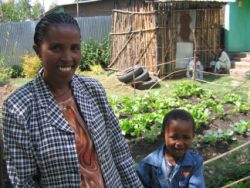 [Addis+Urban+Farming]