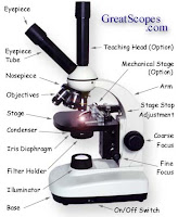 How have microscopes changed over time?