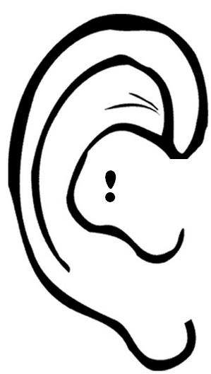 [ear.jpg]