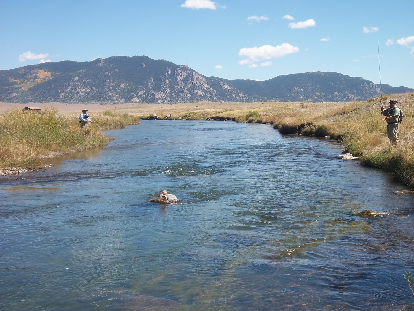 Grobe Anglers And Adventures South Platte River Dream Stream