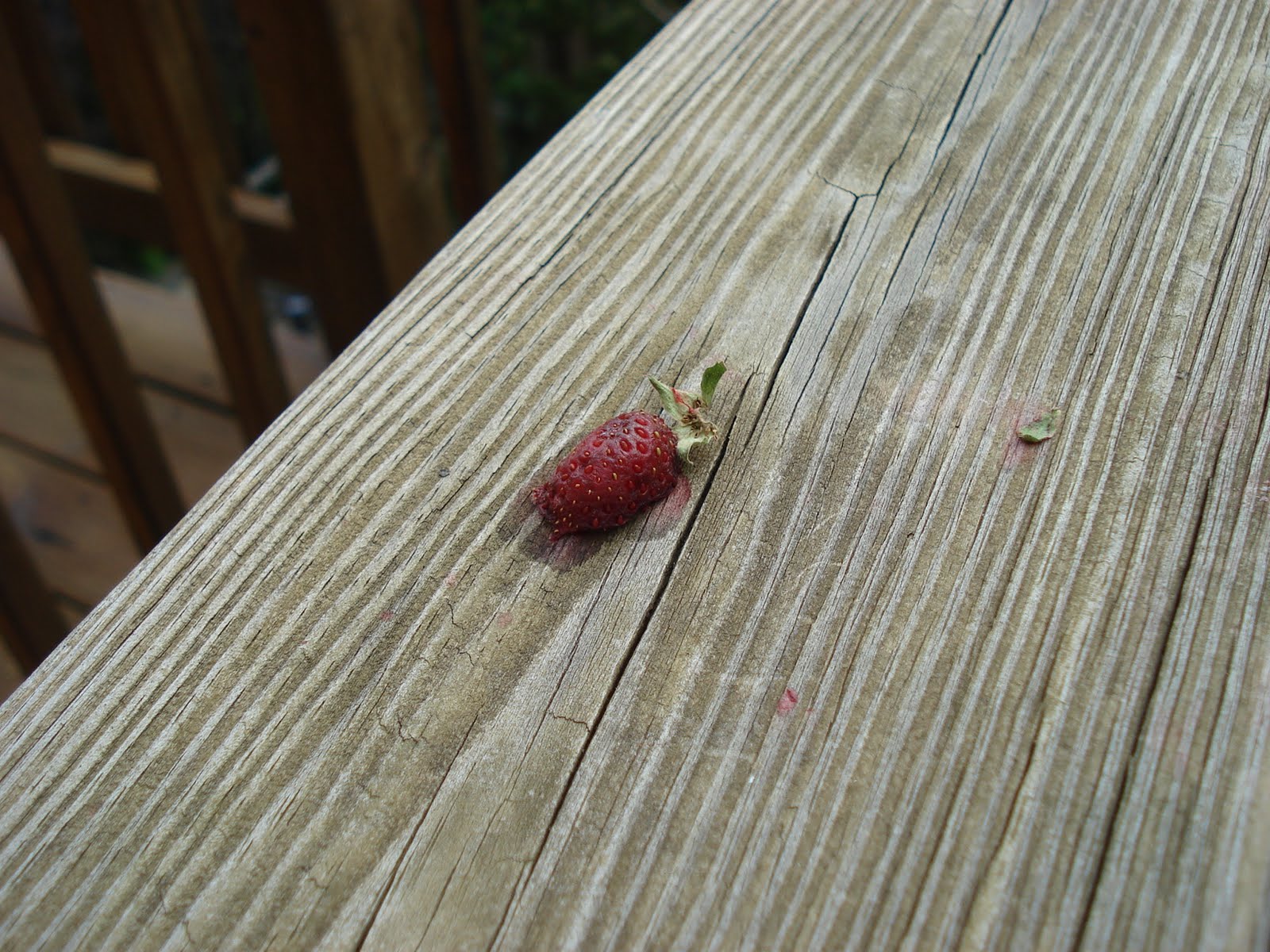 Dead Strawberry