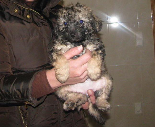 [IMG_0051_resize.jpg]