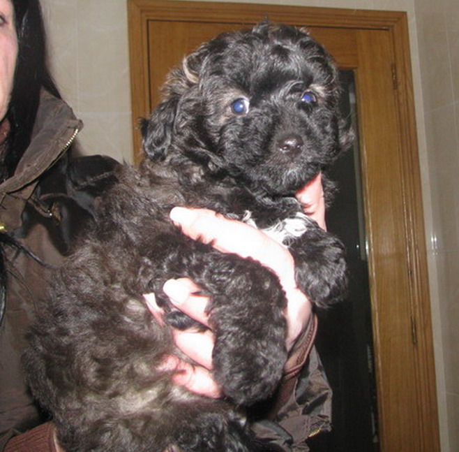 [IMG_0053_resize.jpg]