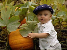 HEALTHY HARVEST CELEBRATION