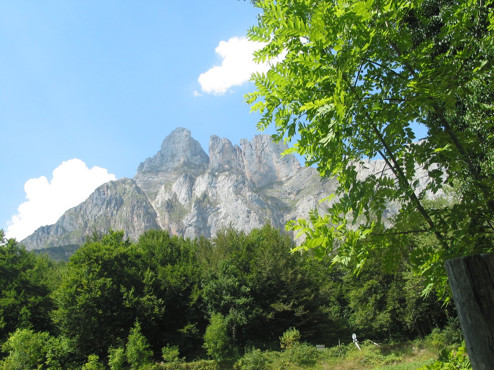 [IMG_2274.JPG]