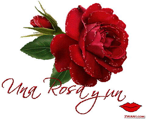 Uma Rosa E Um Beijo