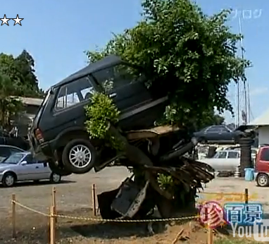 Japanese Car Tree