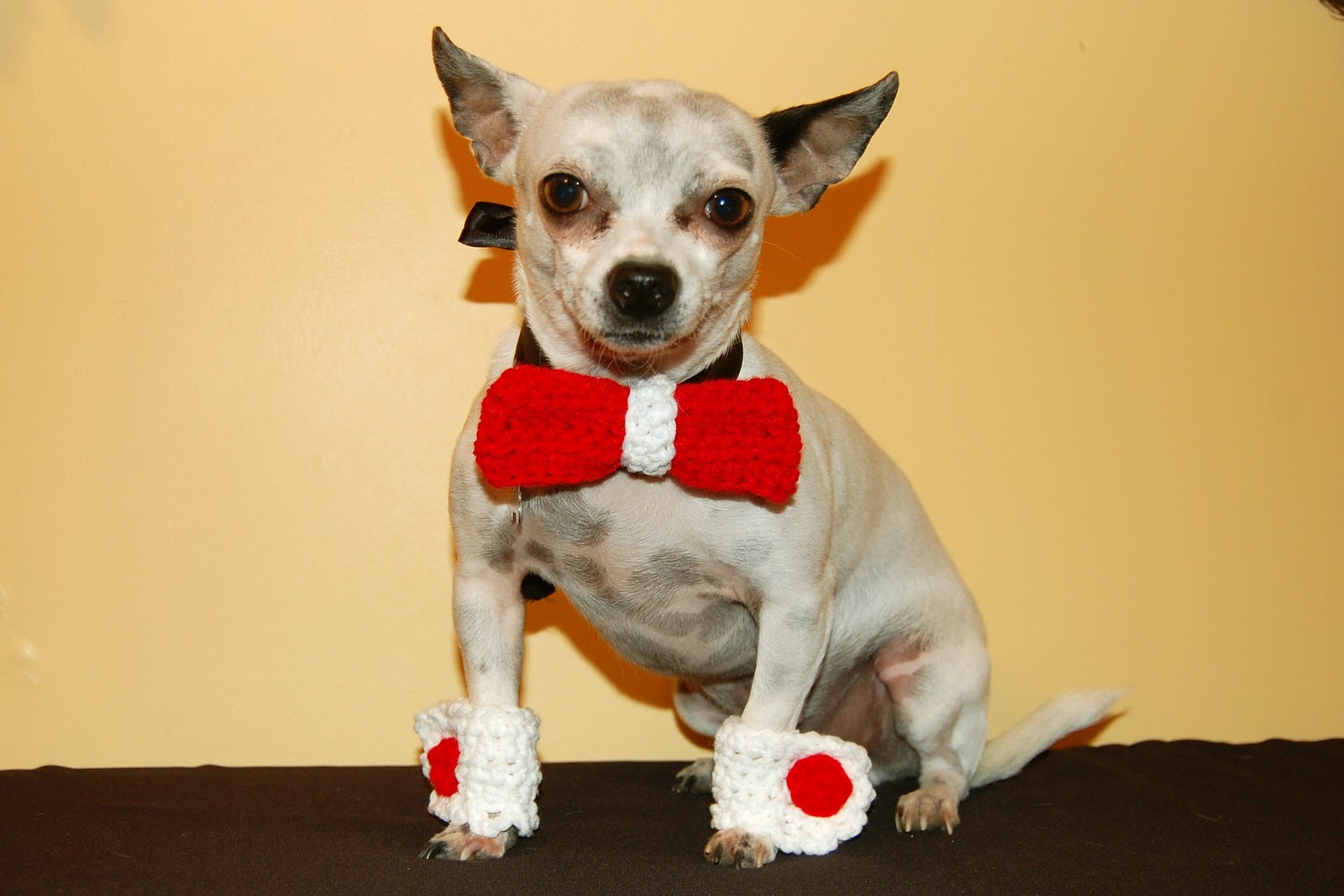 Dog Bowtie Collar Slide Dog Bowtie Collar Slide