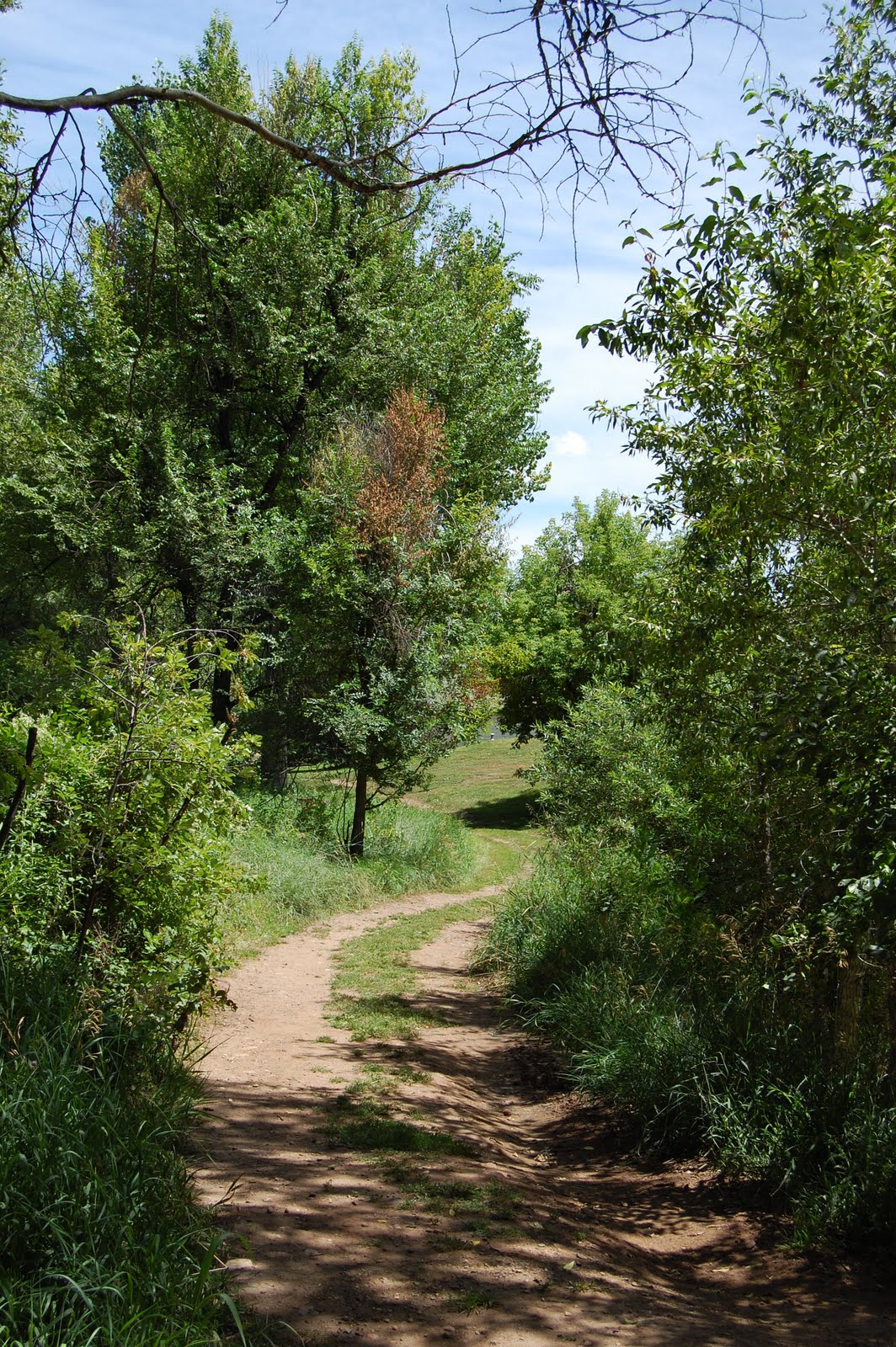[DSC_0024.JPG]