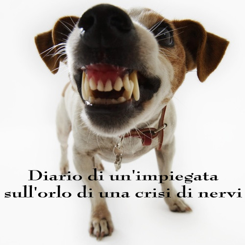 Diario di un'impiegata sull'orlo di una crisi di nervi
