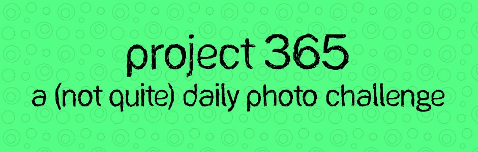 project 365