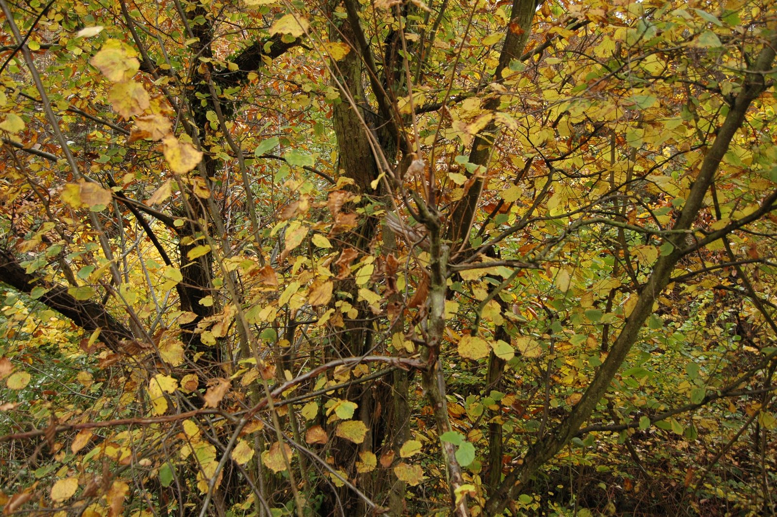 [DSC_0042.JPG]