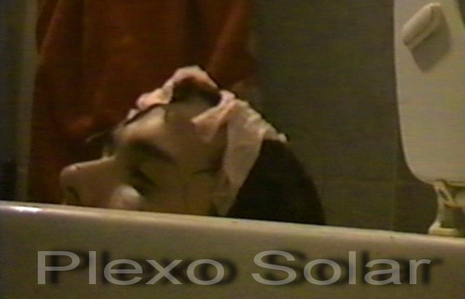 plexosolar