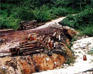 Aktiviti Perlombongan