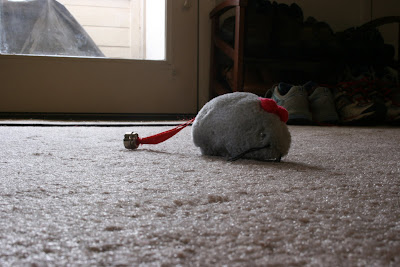 This is an example of wide