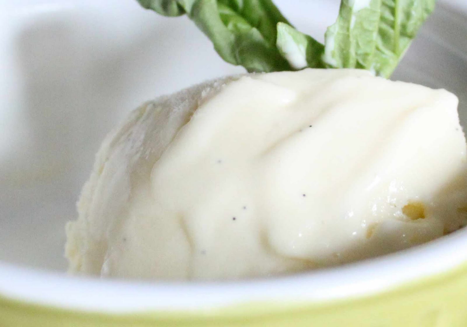 Fat and Happy Blog Basil Mint Ice Cream