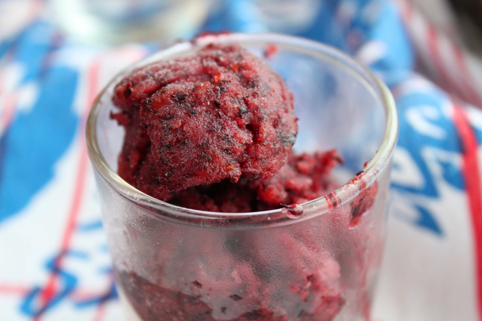 Fat and Happy Blog Blueberry Sorbet