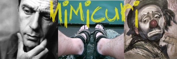 Nimicuri