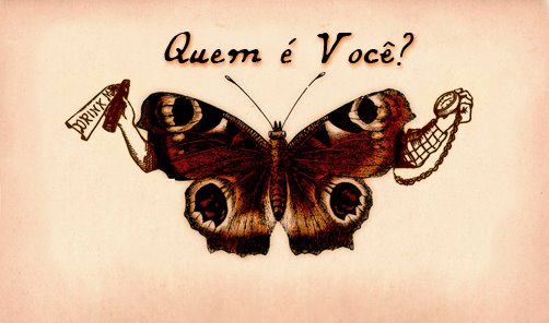 [+curriculo03]
