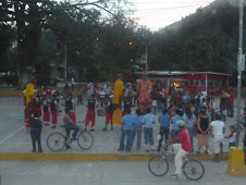 chamelecón