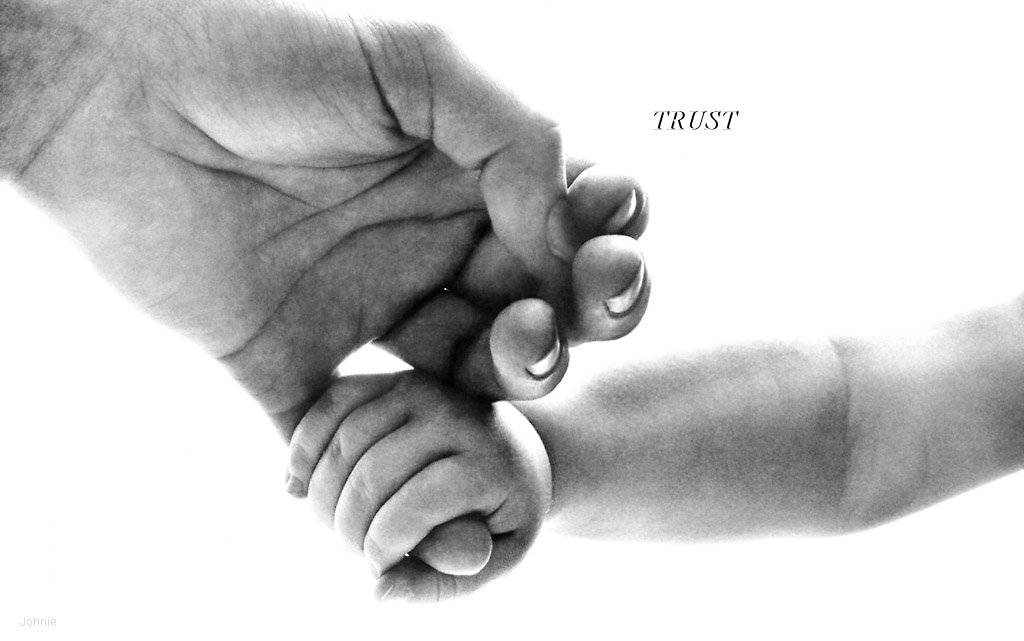 trust photos