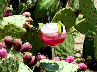 essay about how i spent my holiday