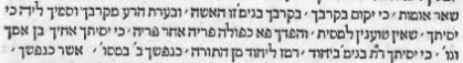[bh8.bmp]