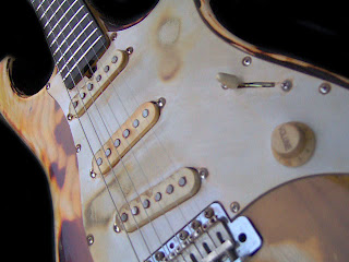 Molinelli Guitars Molicaster