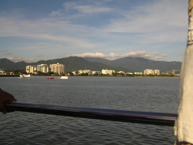 leaving cairns for diving