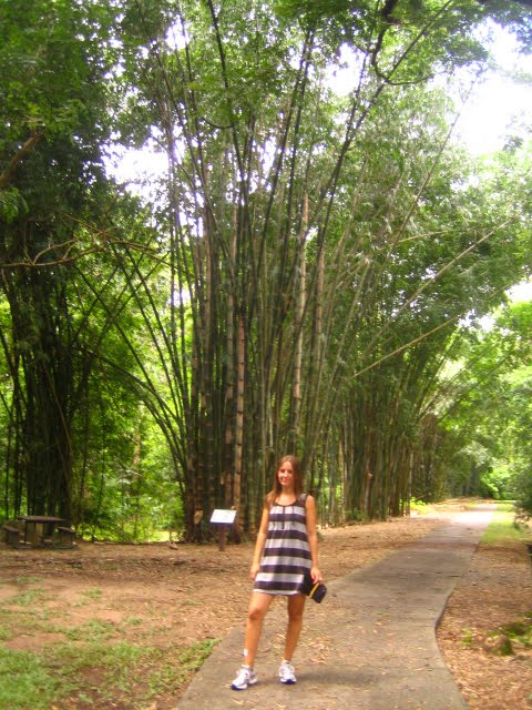 walking to Cairns Botanic Gardens