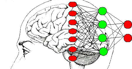 MAQUINA DE CARNE EL CEREBRO EN UNA CUBETA