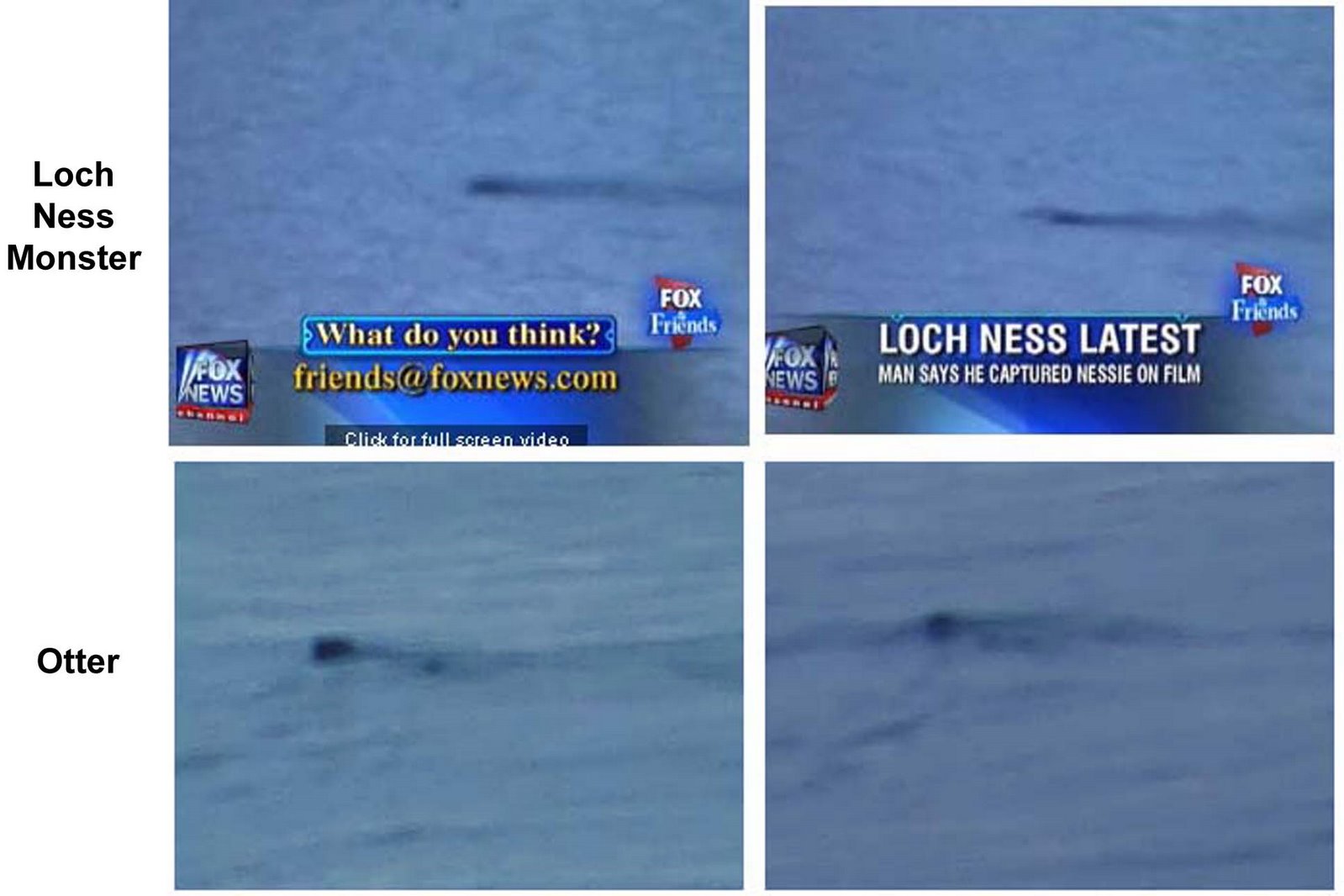 [cryptozoology.jpg]