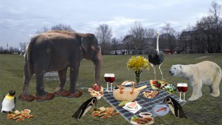 [Tier+Picknick+in+Görlitzer+ParkS.jpg]