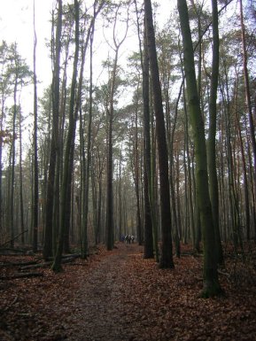 Letter From Berlin Mauer Walk