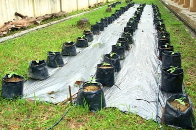 gambar hari hujan