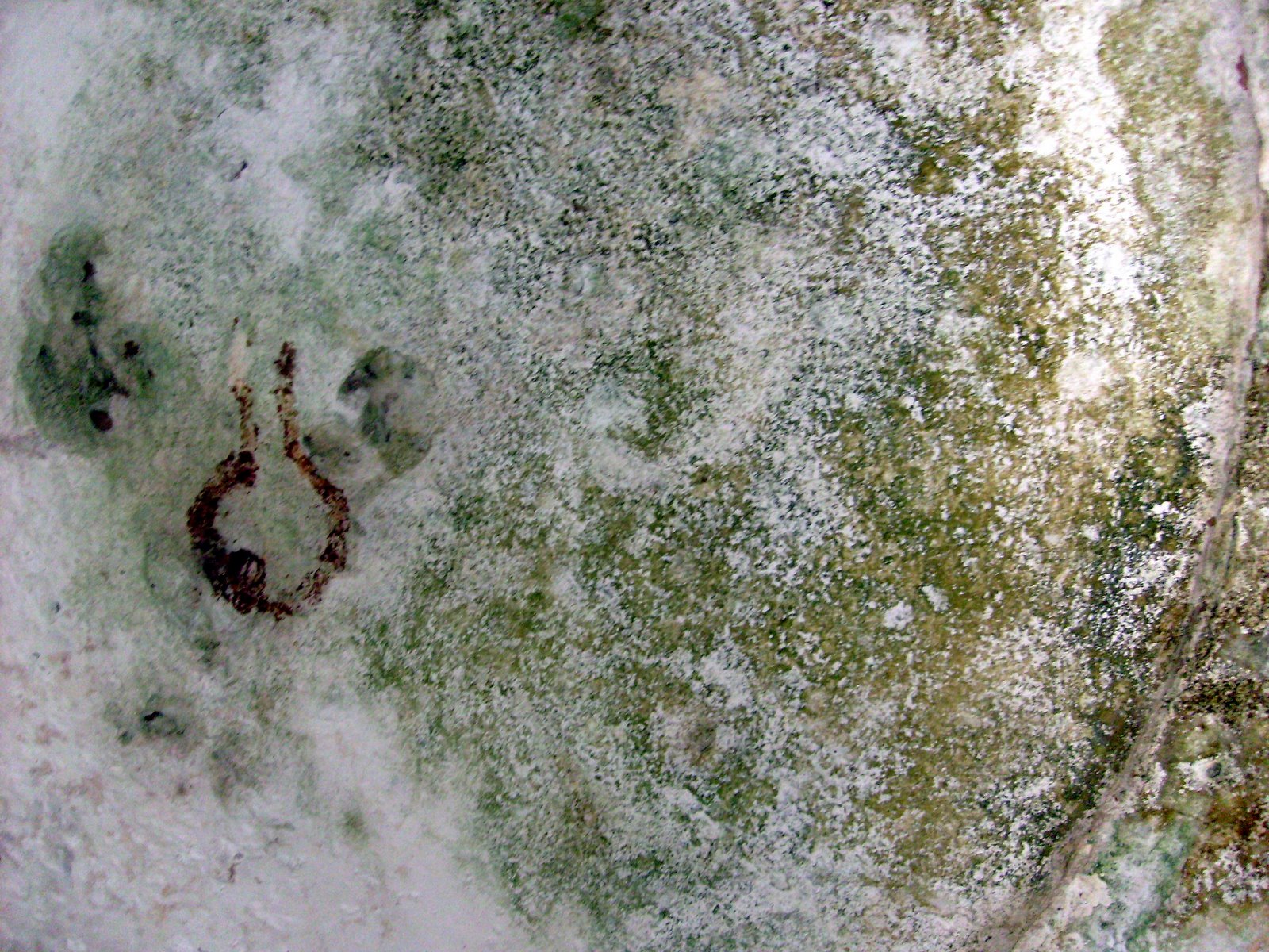 [S7301491.JPG]
