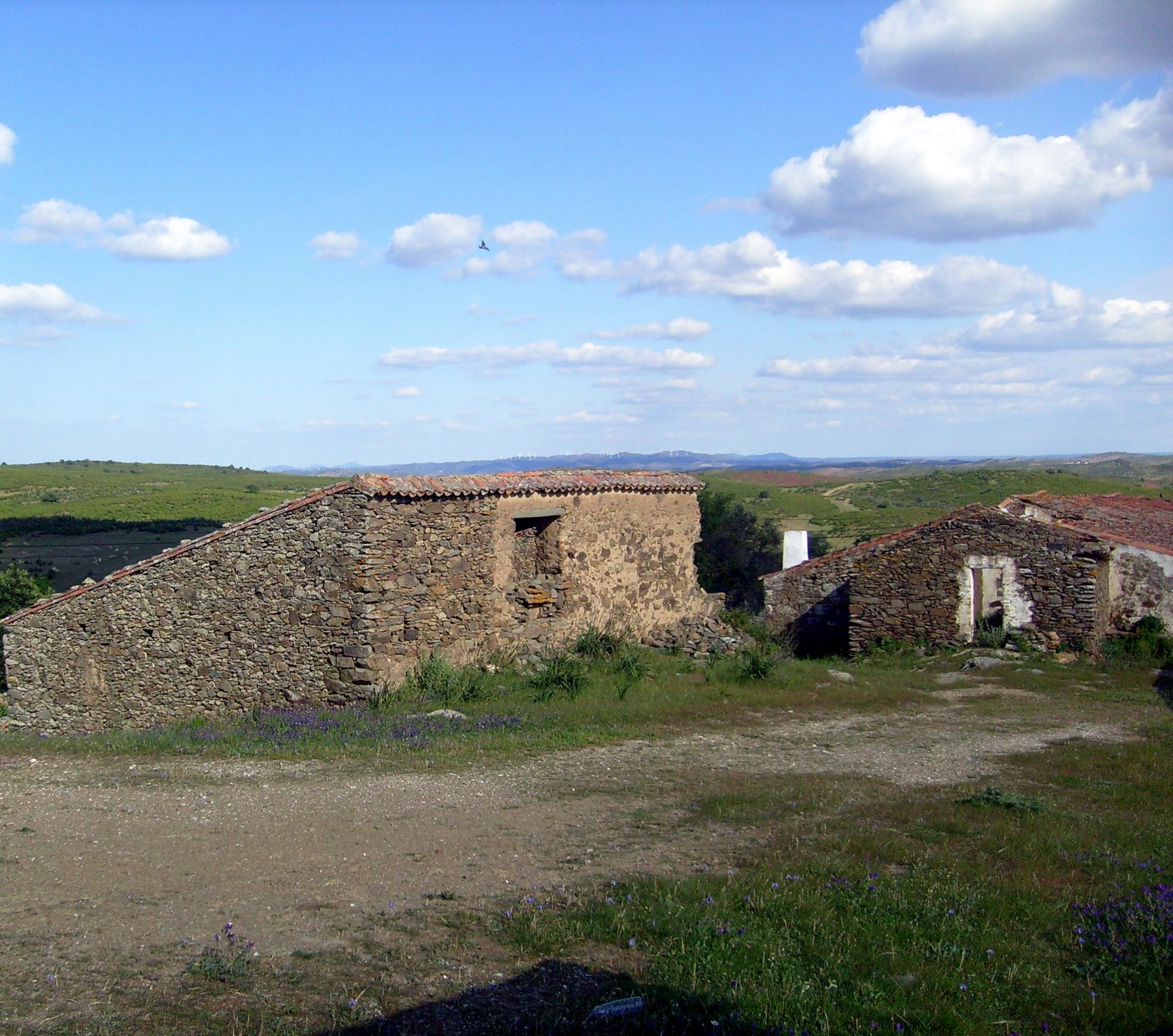 [S7301327.JPG]