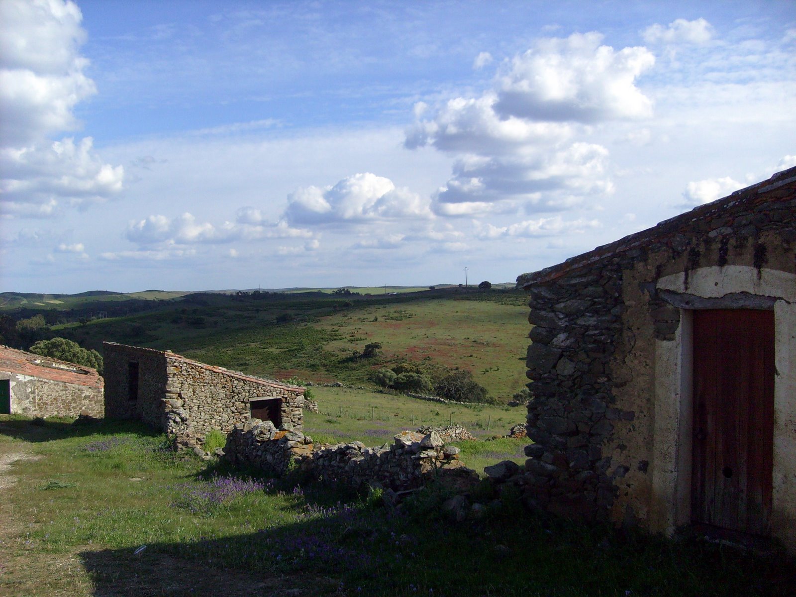 [S7301315.JPG]