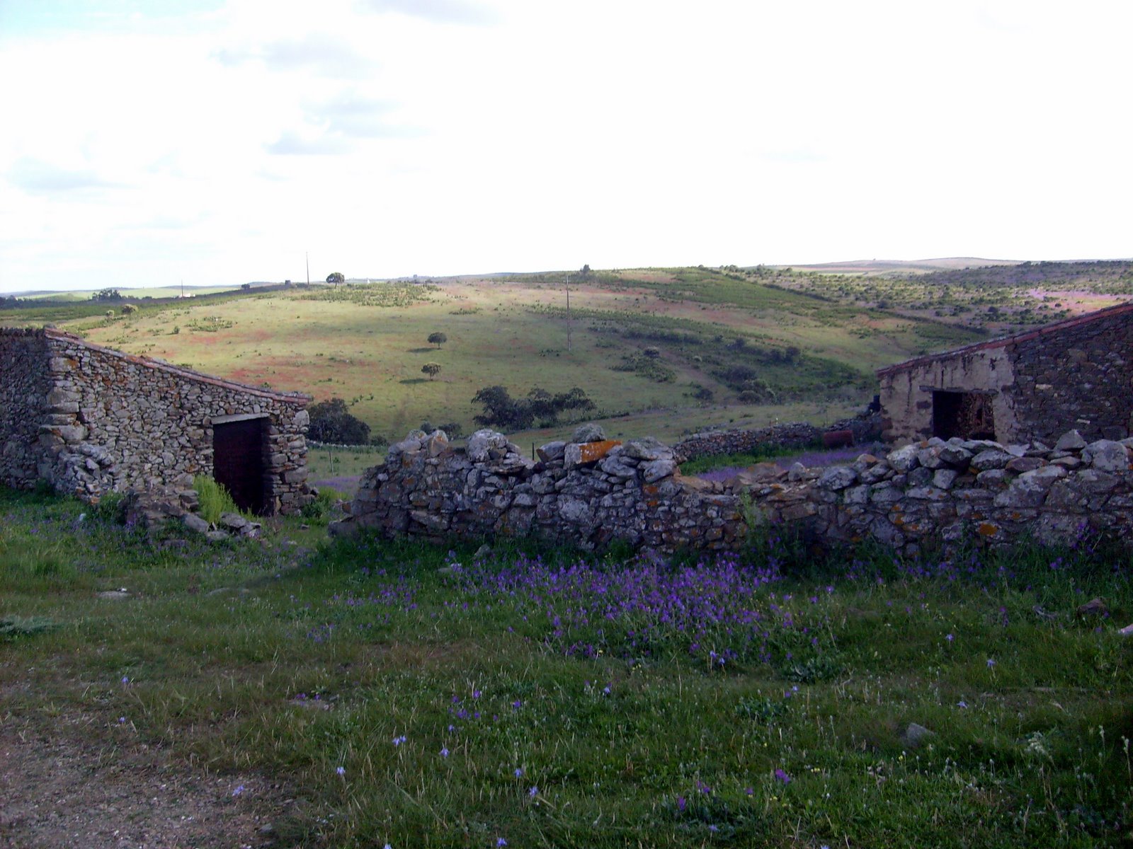 [S7301306.JPG]