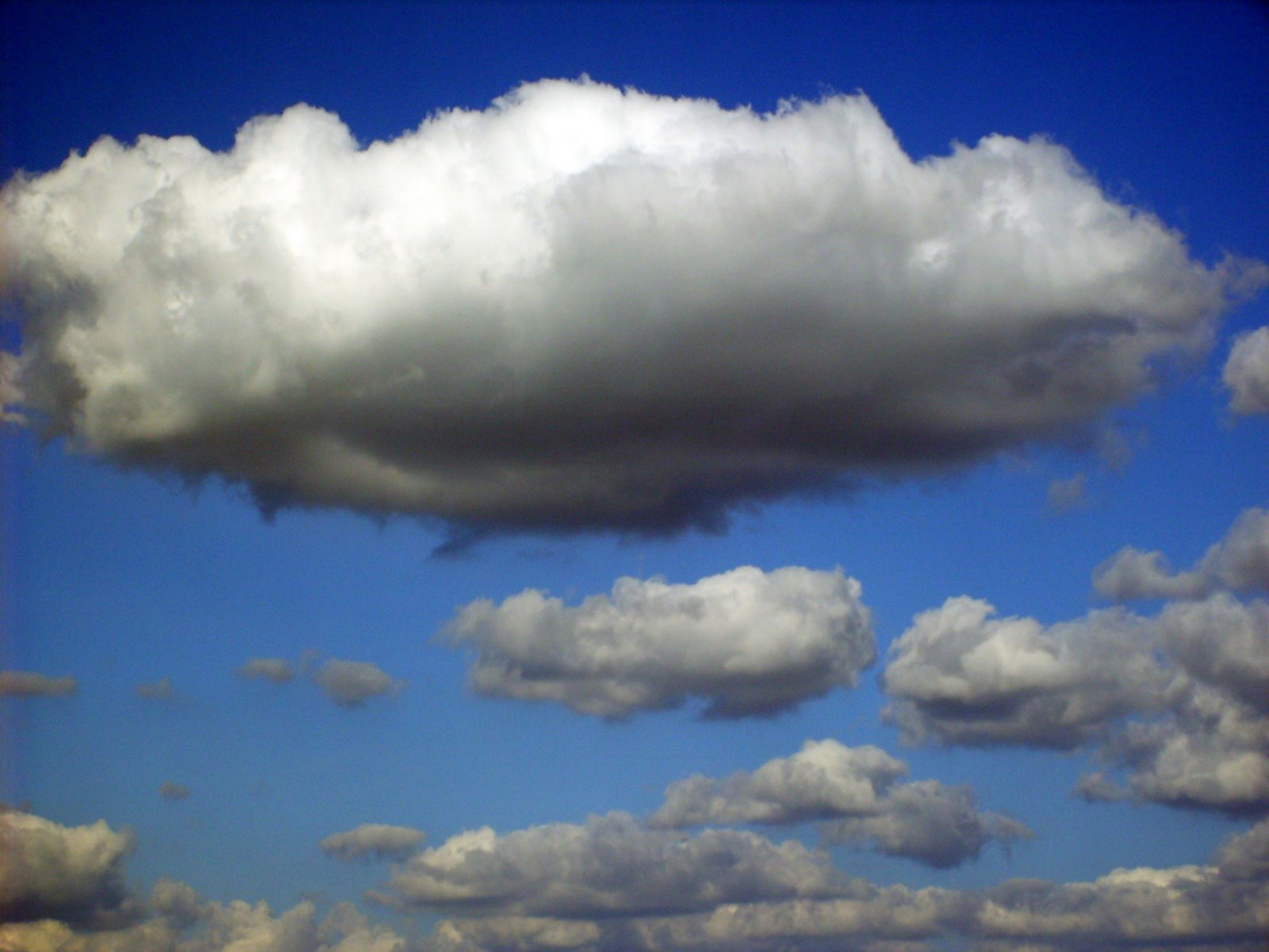 [S7301317.JPG]