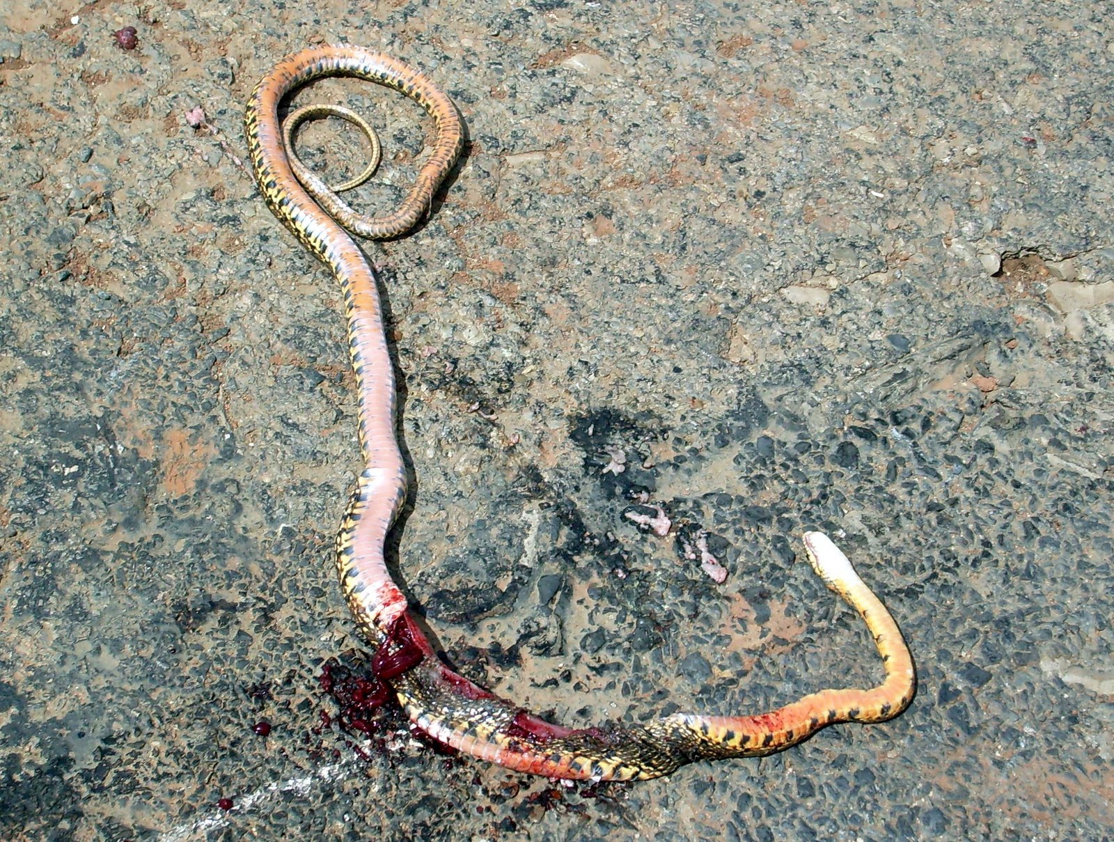 [S7301857.JPG]