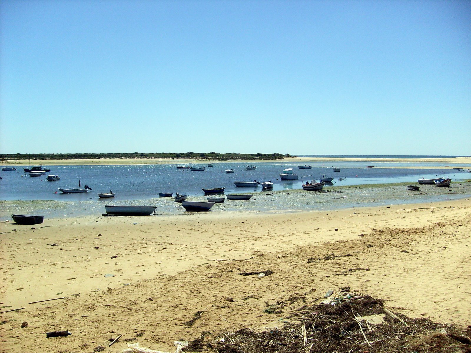 [S7301520.JPG]
