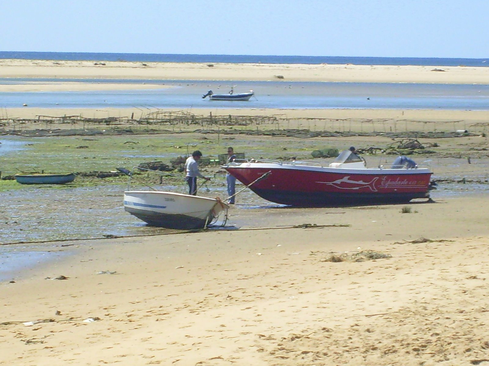[S7301525.JPG]