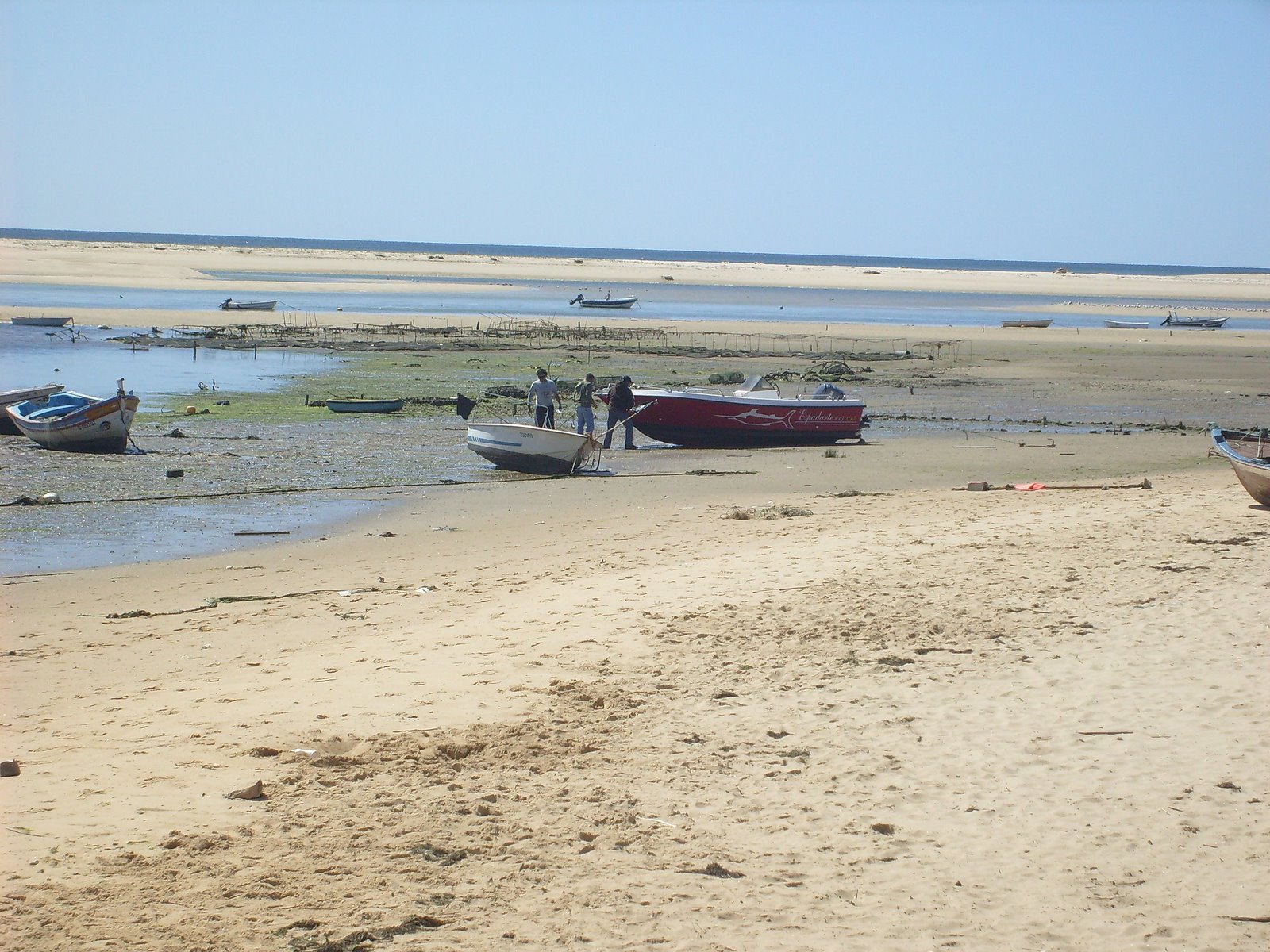 [S7301534.JPG]