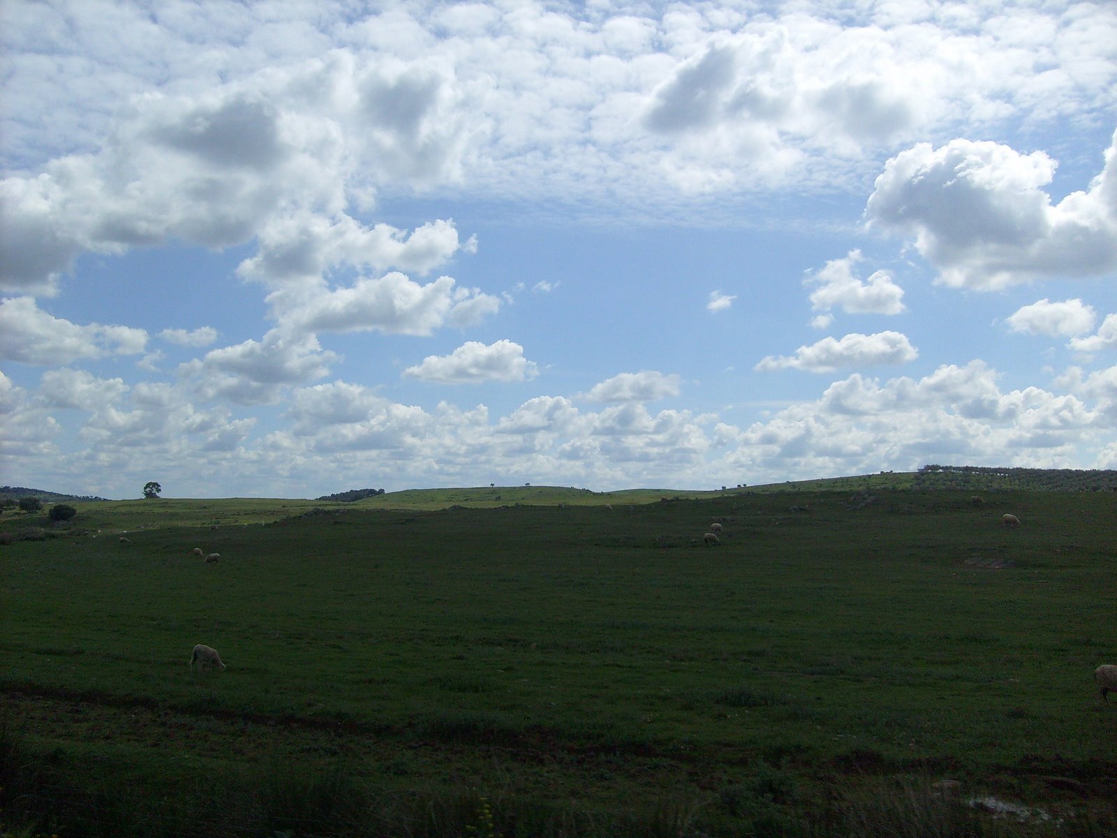 [S7301259.JPG]