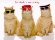 Catitude is everything!